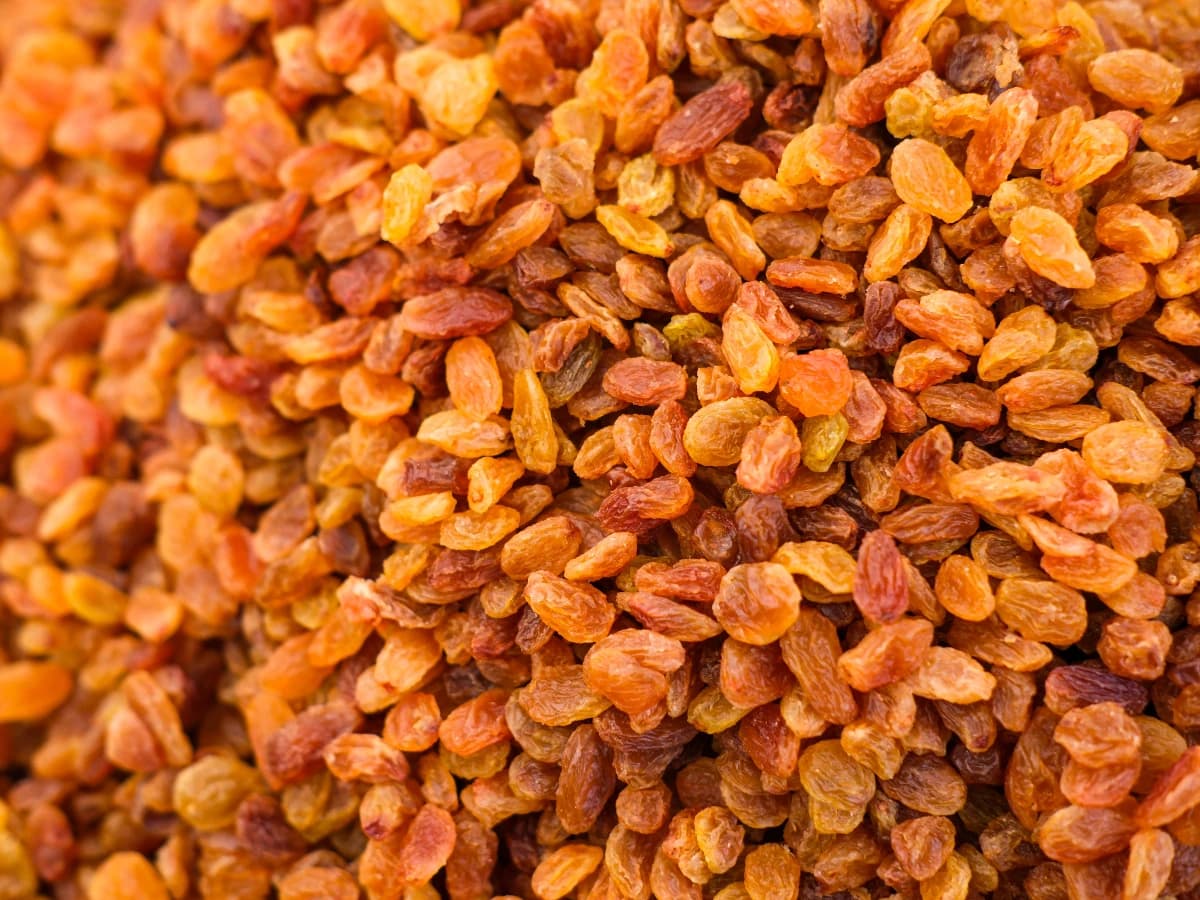 Rozinky 10kg Irán